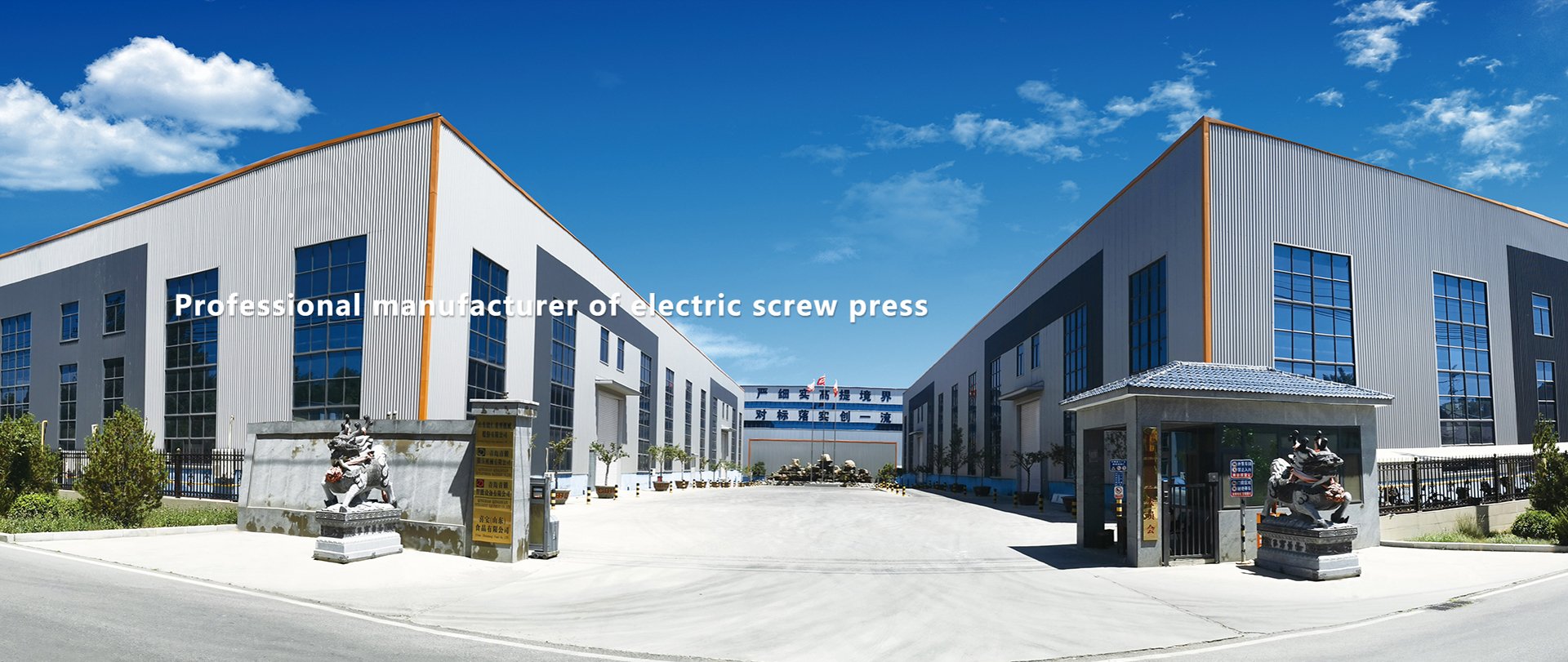 Professional manufacturer of electric screw press